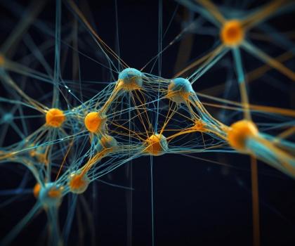 IA